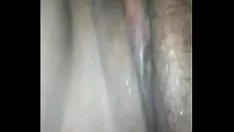 Reproduzir Gordura