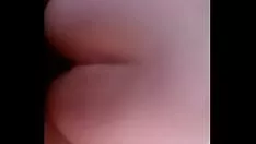 تشغيل الأغنياء الحمار في اقتصاديات الرباعية غير المهنية