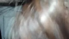 Alimentazione del gattino filato