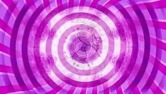 Abspielen Vergrößern - Stiefmütterchen Hypno