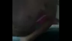 Afspelen Kleine hond